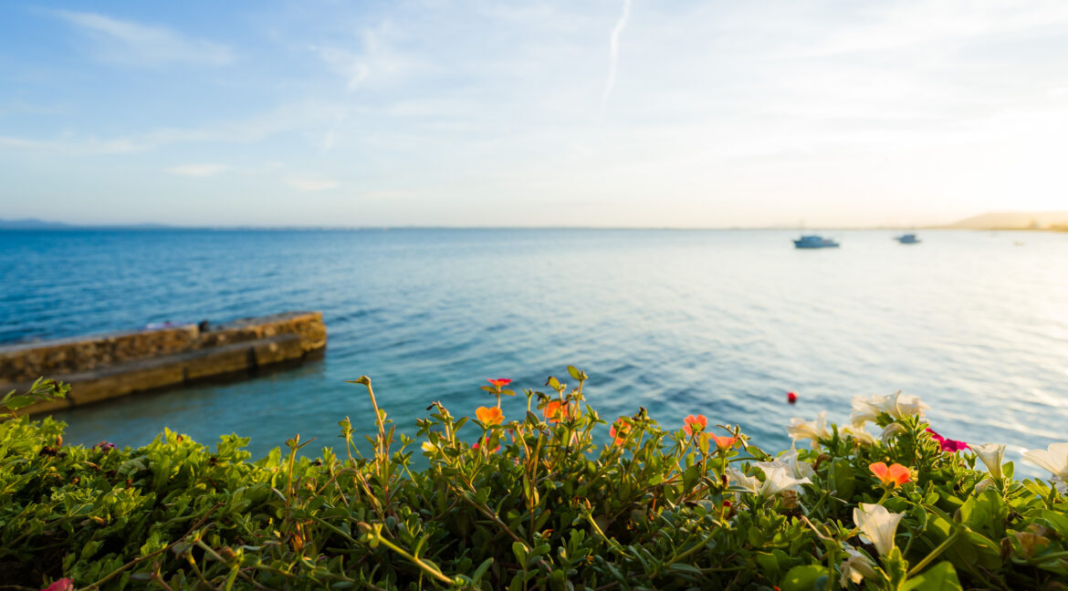 ¡Bienvenidos! O como diríamos en Mallorca: Benvinguts!